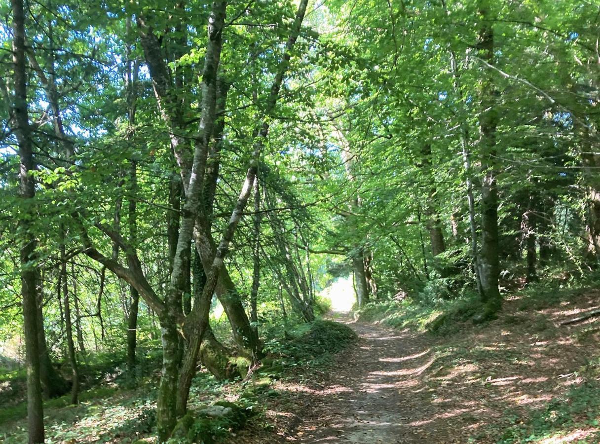 Vila Aux Demeures Des Fees Thouron Exteriér fotografie