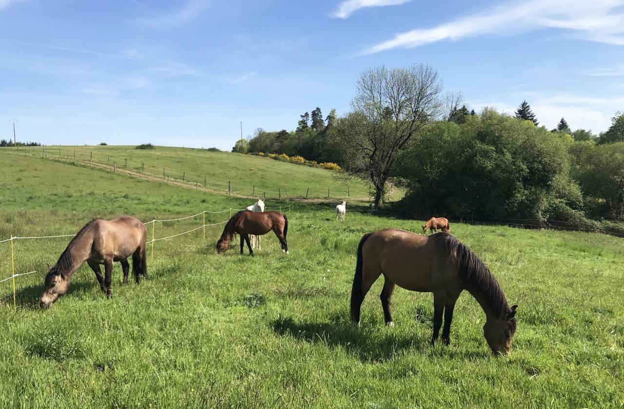 Vila Aux Demeures Des Fees Thouron Exteriér fotografie